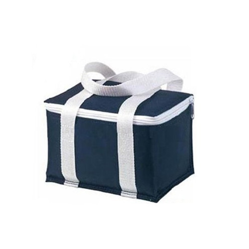 Promotional blue color picnic lunch cooler bag
