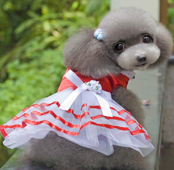 Wholesale red color skirt dog cloth, skirt pet cloth