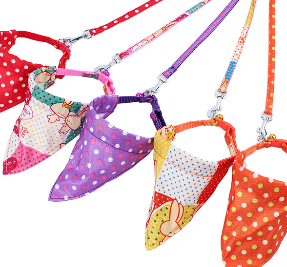 Unique nylon pet leash with triangle scarf