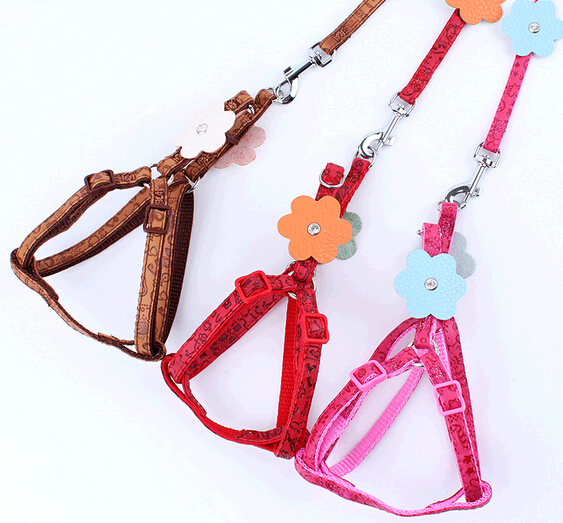 Custom printing pet collar and leashes, custom dog collar and leashes