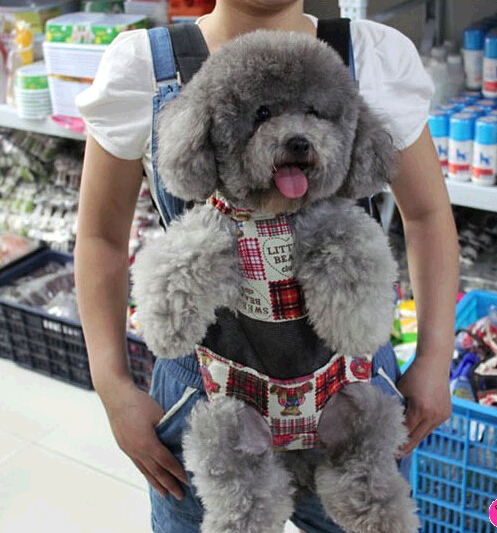 Promotional cheap pet chest carrier for dog or cat
