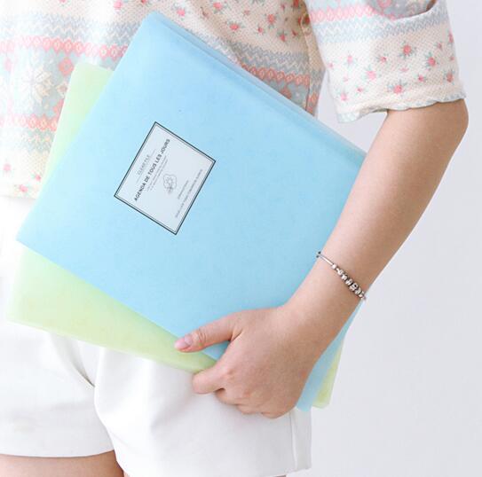 Wholesale custom color  pink color 20 pocket document file folder