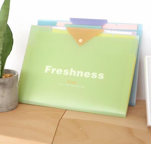 Wholesale 5 pocket or 8 pocket green color expandable file folders